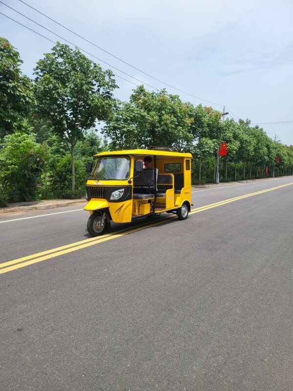 Electric Tricycle