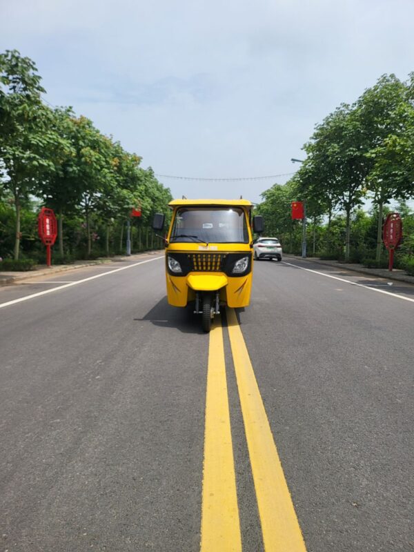 Electric Tricycle - Image 2