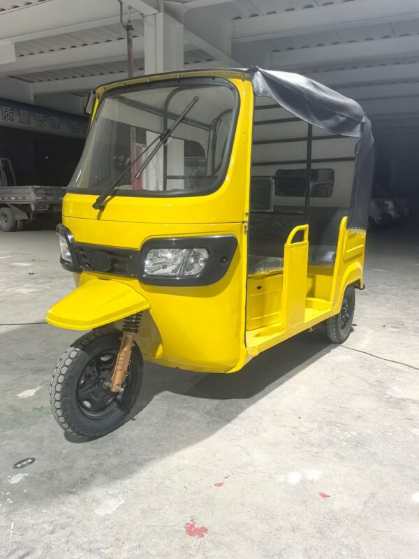 Electric Tricycle - Image 2