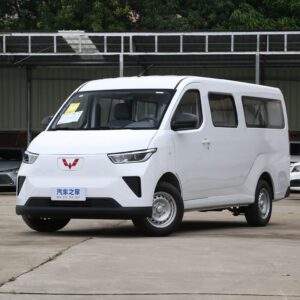 Wolin 12 seater Multi purpose Electric Bus