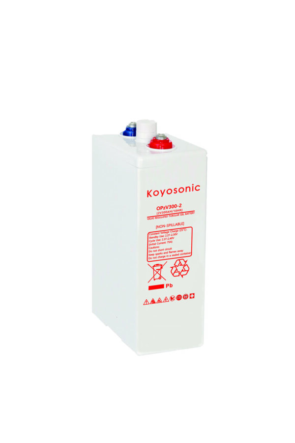 Koyosonic OPZV 300 - Image 2
