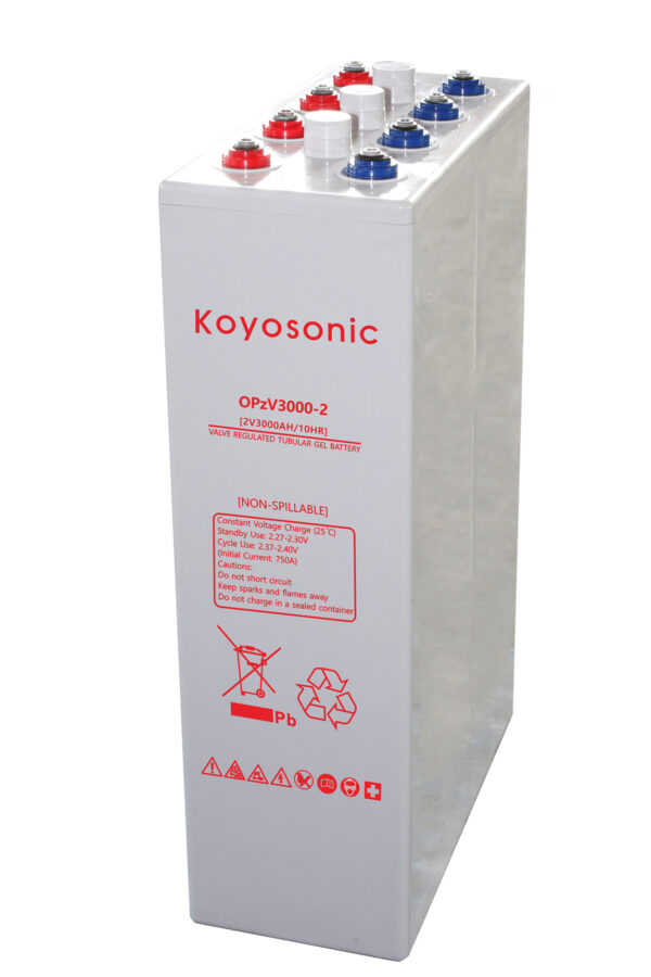 Koyosonic OPZV 3000 - Image 3
