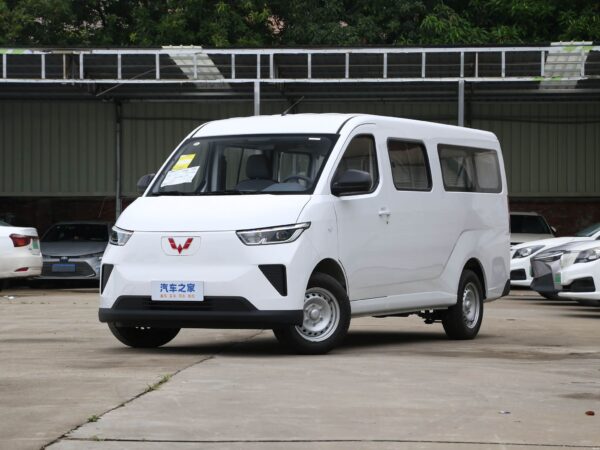 Wolin 12 seater Multi purpose Electric Bus